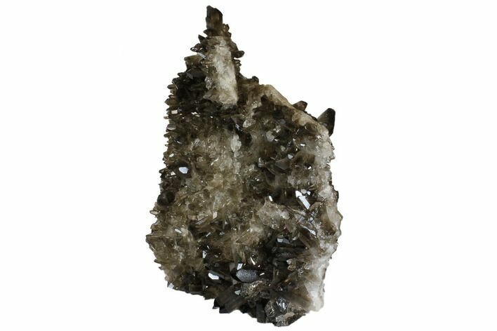 Tall, Free-Standing Smoky Quartz Cluster - Brazil #137843